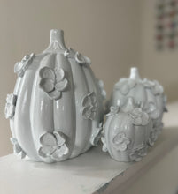 Load image into Gallery viewer, Mountain Air- Ceramic pumpkin - click to see size options